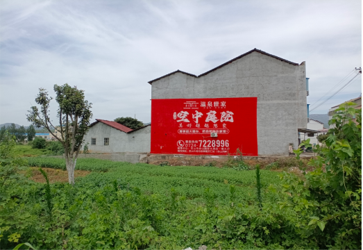 留坝做墙体广告的意义